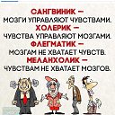 ���� �����, ��������, 49 ��� - ��������� 21 ������� 2020 � ������ ������ ��������