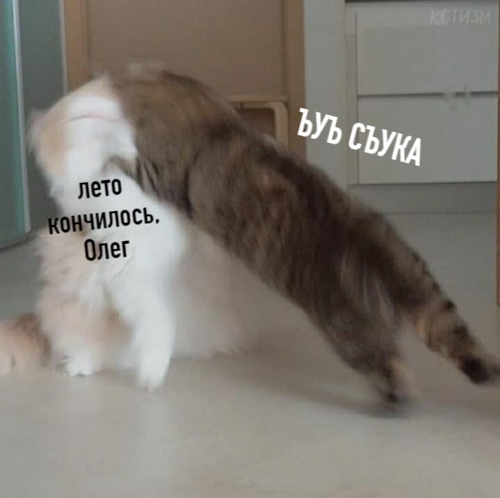  :  - 3