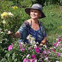 ���� �������, ������������ - ��������� 11 ������� 2020 � ������ ���� ����������