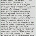 ���� Roman, ��������� - ��������� 28 ������� 2020 � ������ ������ ��������