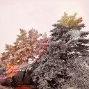  ,  -  31  2020    