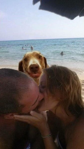 ��������� ������ �������� �� ���� - 3