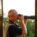 ���� ��������, �������, 70 ��� - ��������� 13 ������� 2020 � ������ ���� ����������