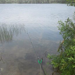 ������, ��������, 52 ����