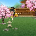  , , 85  -  28  2020   Tropikania