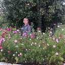 ���� ����, ������-���, 55 ��� - ��������� 14 �������� 2020 � ������ ���� ����������