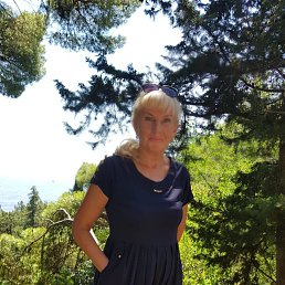 �����, ����, 66 ���