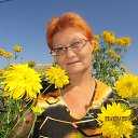 ���� ������, ����, 66 ��� - ��������� 4 ������� 2020 � ������ ���� ����������