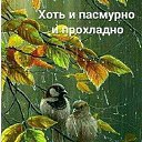 ���� ��������, ����� - ��������� 2 ������ 2020 � ������ ���� ����������