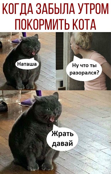 ������ - 22 �������� 2020 � 18:41