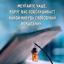 ���� ��������, �����������, 53 ���� - ��������� 7 ������� 2020 � ������ ���� ����������