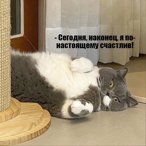 ��� ���� � ����� �� �� - 17 ������� 2021 � 09:50