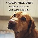 ���� -Dimon-, �������, 47 ��� - ��������� 8 ������� 2020 � ������ ������ ��������