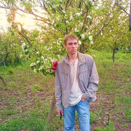 ����, ������, 40 ���