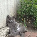 ���� ������, ���� - ��������� 17 ������� 2020 � ������ ���� ����������