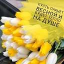���� �������, ������, 41 ��� - ��������� 6 ����� 2021 � ������ ���� ����������