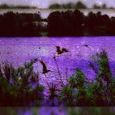 ���� �������, ��������� - ��������� 24 ����� 2021 � ������ ���� �������