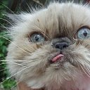 ���� ������, ������, 46 ��� - ��������� 12 �������� 2020