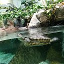 ���� ����, ������� - ��������� 10 �������� 2020 � ������ ���� ����������