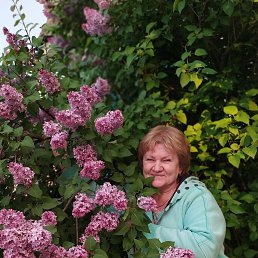 ���� ������, �����, 66 ��� - ��������� 20 ����� 2021