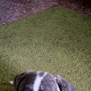 ���� ������, ������ ��������, 53 ���� - ��������� 23 ������ 2020