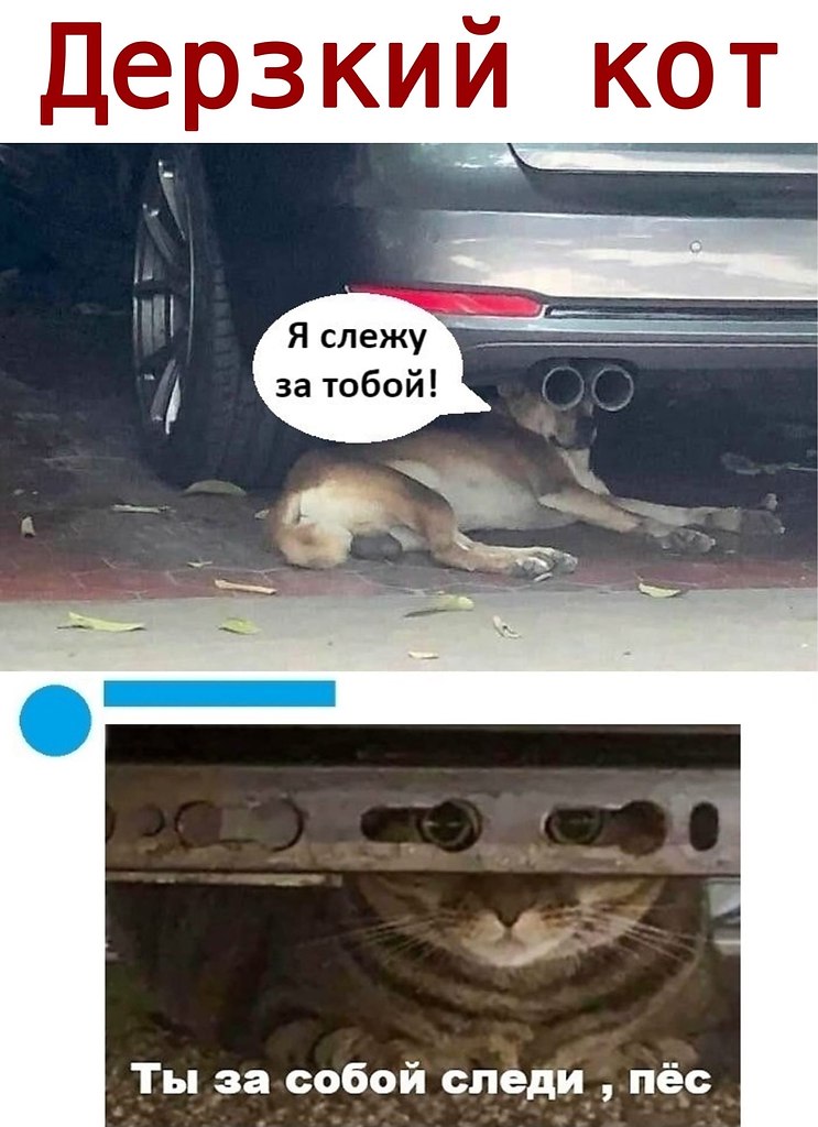 ������ - 22 ������� 2020 � 18:51