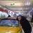 ���� Alex, �������, 52 ���� - ��������� 25 ������ 2020