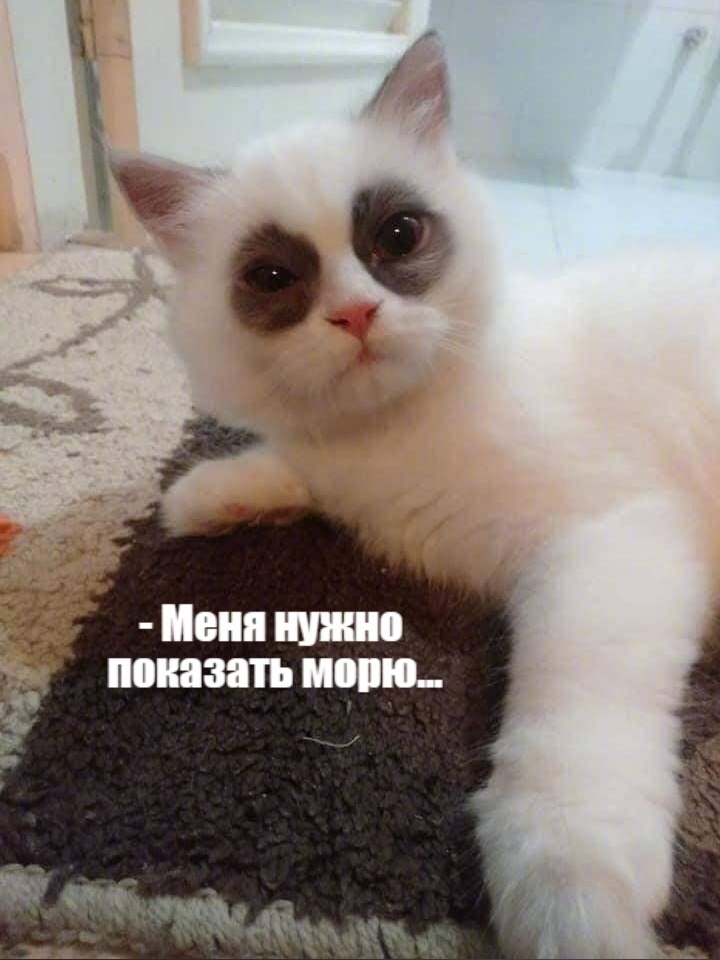       - 24  2021  19:36 - 3