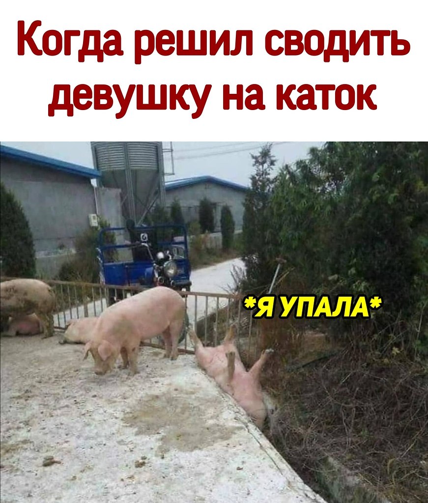 ������ - 7 ������� 2020 � 15:27