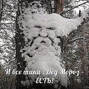 ���� ������, ������ - ��������� 1 ������� 2021 � ������ ���� ����������