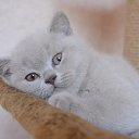 ���� ������ �� ���!, ������ - ��������� 25 ����� 2021 � ������ ������ ��������