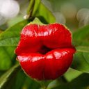 ���� Soso, �������, 63 ���� - ��������� 29 ������� 2020 � ������ ���� ����������