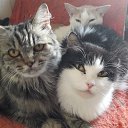 ���� ������, ����-�����������, 59 ��� - ��������� 29 �������� 2020 � ������ ������ ��������