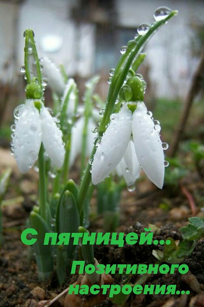   ,    . - 5  2021  16:27 - 3