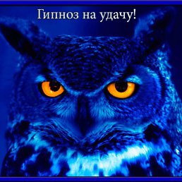 ������, ������, 39 ���