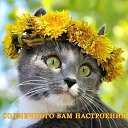 ���� �������, �����-���������, 73 ���� - ��������� 30 ������� 2020 � ������ ������ ��������