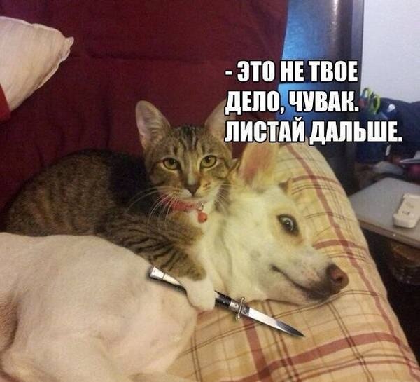    - 25  2020  21:33
