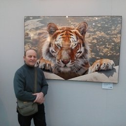 ��������, ������, 67 ���