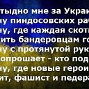 ���� ��������, ������ - ��������� 8 ������� 2020 � ������ ������ ��������