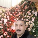 ���� ����, ���� - ��������� 29 ������� 2020 � ������ ���� ����������