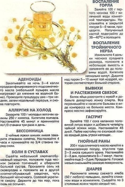 Народный рецепт- это вам не глупость. Народный рецепт — это вековая мудрость. В природе есть все для ...
