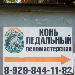 ������, ����������, 48 ���