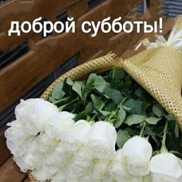 ����, �����