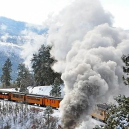 ������, ���������, 41 ���