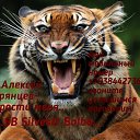 ���� Silvestr, ������, 41 ��� - ��������� 26 ������ 2021