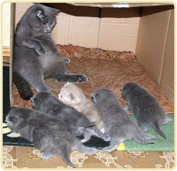      ?! 77    1.   .   -   ...