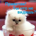 ���� ������, ����-�����������, 59 ��� - ��������� 29 �������� 2020 � ������ ������ ��������