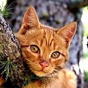 ���� �����, �������, 64 ���� - ��������� 13 �������� 2020 � ������ ������ ��������