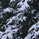 ���� Xacco, ������, 54 ���� - ��������� 19 ����� 2021 � ������ �@photoxacco�