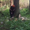 ���� �������, ���, 47 ��� - ��������� 25 ������� 2020